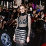Filename=009.jpg
Filesize=348KiB
Dimensions=2048x1365
Date added=May 27, 2019 009.jpg