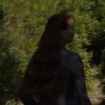 00696.jpg