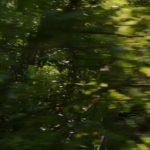 Filename=01290.jpg
Filesize=448KiB
Dimensions=1280x720
Date added=Apr 07, 2014 01290.jpg